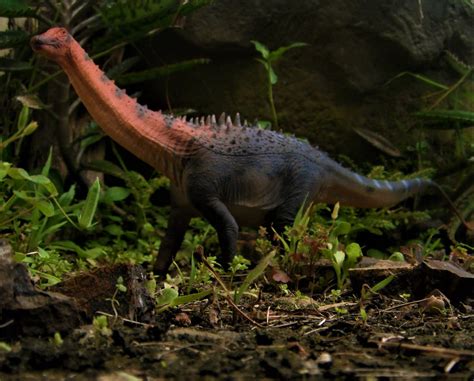 Ampelosaurus by zoome3 on DeviantArt