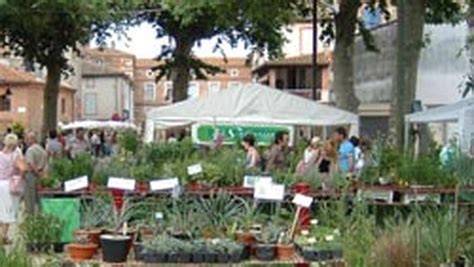 Foire Aux Plantes Saint Nicolas De La Grave Ladepeche Fr