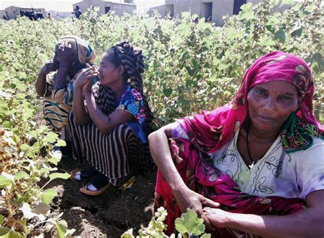 Sudan Taking Control Of Land On Border With Ethiopia — Minister Arab News