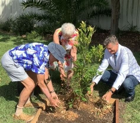 Memorial Tree Planting Program Sutherland Shire Council