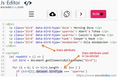 How To Use Data Attributes In Javascript