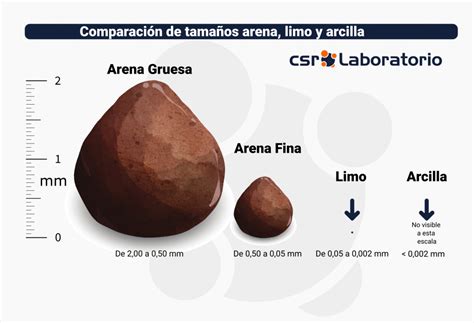 La Estructura Del Suelo Y Su Clasificaci N Csr Laboratorio