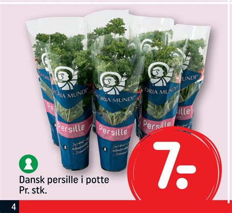 Dansk Persille I Potte Pr Stk Tilbud Hos Rema 1000