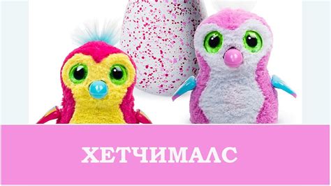 хетчималс новинка 2017 Hatchimals все хетчималс интерактивный питомец ...