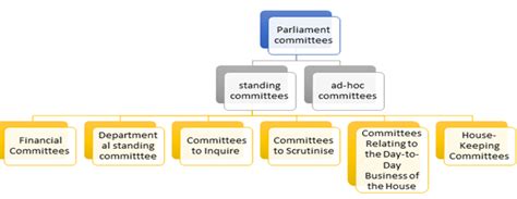 Parliament Committees Their Leaders And Their Role In Law Ma