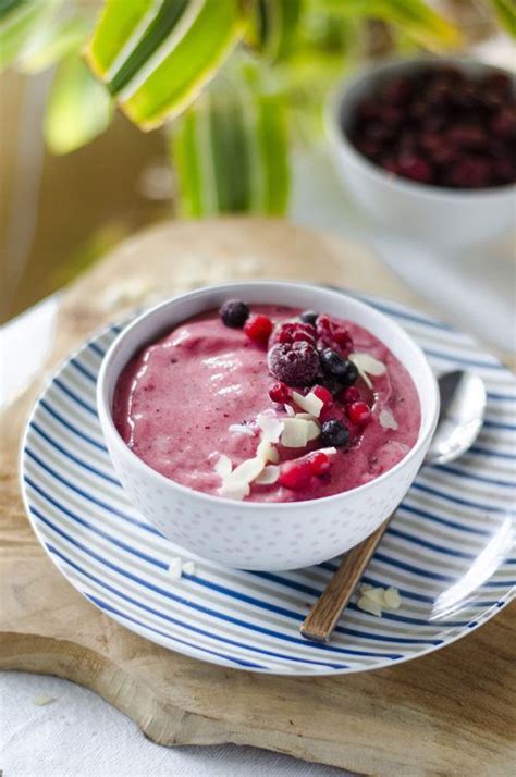 Helado Casero De Frutos Rojos Y Menta Mis Recetas Veganas F Ciles