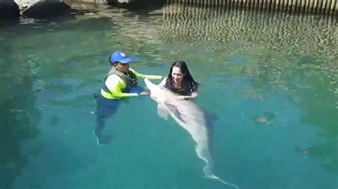 Combo Nado Con Delfines Tours Y Actividades En Santa Marta