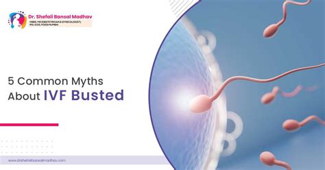 5 Common Myths About Ivf Busted