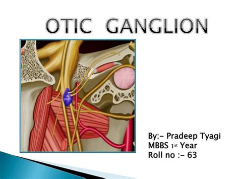 Otic Ganglionpptx
