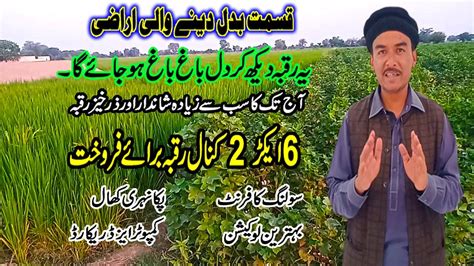 Acre Kanal Zari Raqba Agriculture Land For Sale In Punjab Pakistan