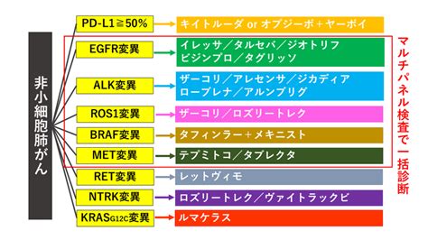 肺がんの個別化医療のまとめ がんゲノム医療・免疫治療 銀座みやこクリニック院長ブログ