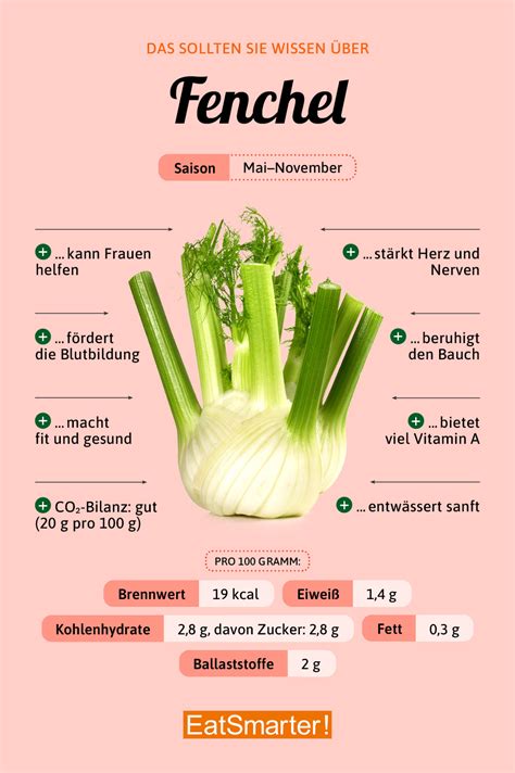 Fenchel | EAT SMARTER