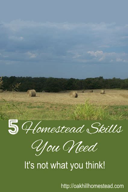 5 Qualities You Need To Be A Successful Homesteader Oak Hill Homestead