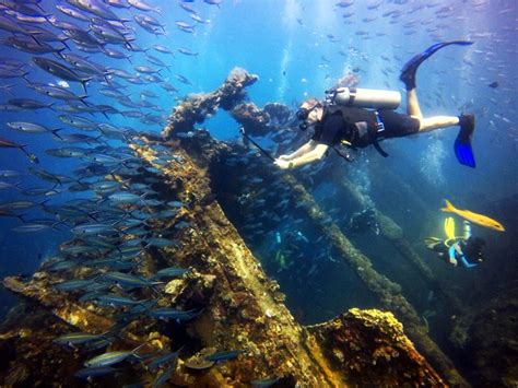 Bali Diving Tulamben USAT Liberty Wreck Dive Wandernesia