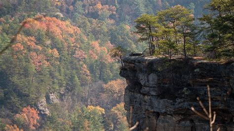 23 Things To Do In Red River Gorge Kentucky For New Visitors