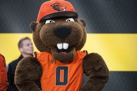 21 Benny Beaver ideas | oregon state, beaver, mascot