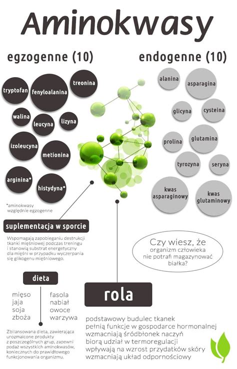 Aminokwasy Podzia I Rola Algi Spirulina I Chlorella