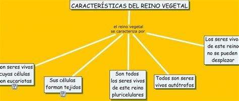 Mapa Conceptual Del Reino Plantae Zuela Porn Sex Picture The