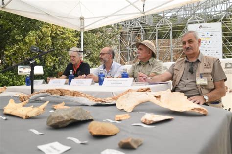 Ndp Balance De La Campa A De Excavaciones En Los Yacimientos De