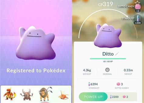 Cómo capturar a Ditto en Pokémon GO 100 garantizado 2022