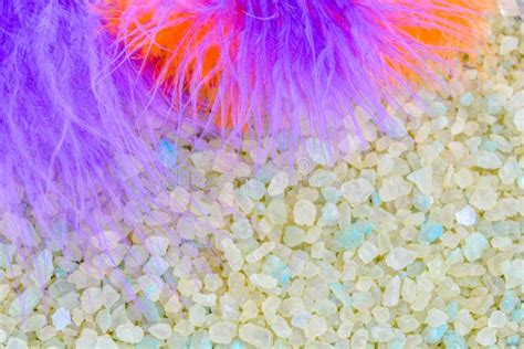 Orange And Purple Bird Feather On Crystals Of Aromatic Bath Sea Salt