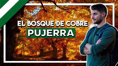 El Bosque De Cobre En Oto O Pujerra Valle Del Genal En M Laga Youtube