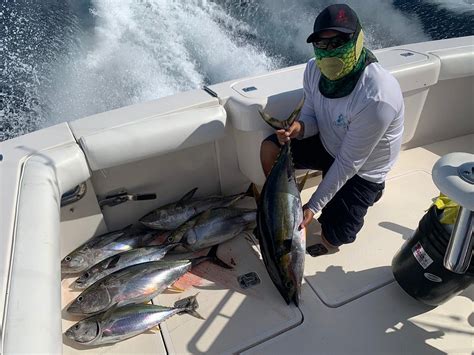 Kingfish Cabo Cabo San Lucas All You Need To Know Before You Go