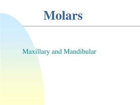 molars powerpoint    id
