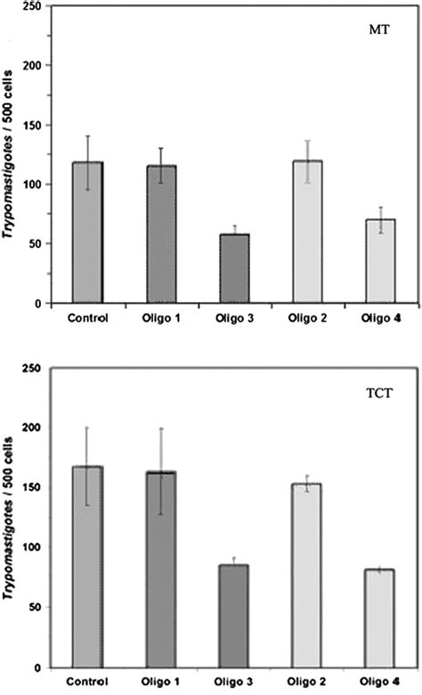 Inhibitory Effect Of Antisense CaNB Oligonucleotides On T Cruzi Cell