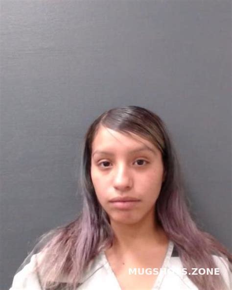 Cisneros Sylvia Marie 05 09 2023 Comal County Mugshots Zone