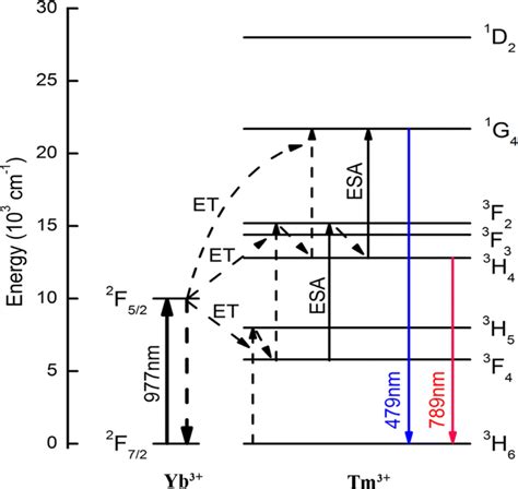 Energy level diagram of Yb³ Tm³ co doped La2Ti2O7 fibers removing the