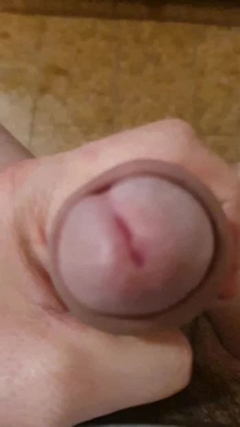 Torobsxhot S Porn Videos And Reels Nude Photos And Bio On Xhamster