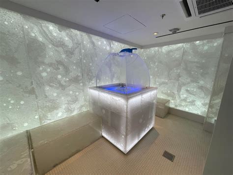 First Look The Luxurious And Relaxing Senses Spa Aboard The Disney