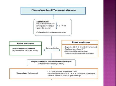 Les Hemorragies Du Post Partum Fin Ppt