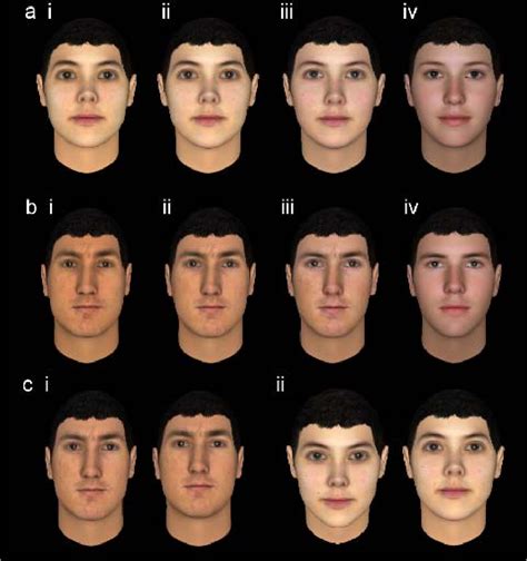 Figure 1 From A New Viewpoint On The Evolution Of Sexually Dimorphic Human Faces Semantic Scholar