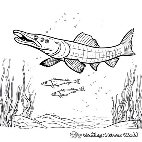 Pike Coloring Pages - Free & Printable!