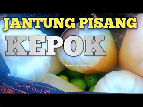 Berburu Tongkol Jantung Pisang Masak Santan Mantap Youtube