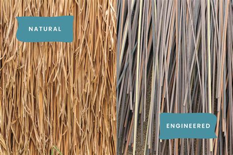 5 Pros And Cons Of Natural And Synthetic Thatch Roofing Endureed