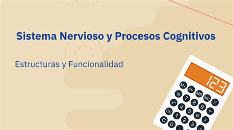 Funciones Cognitivas Superiores Y El Sistema Nervioso By Alejandro Alfaro On Prezi