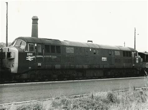 D600 North British Type 4 Later Class 41 Warship Class Flickr