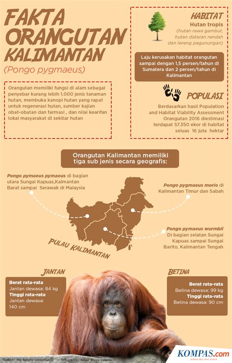 Infografis Sains