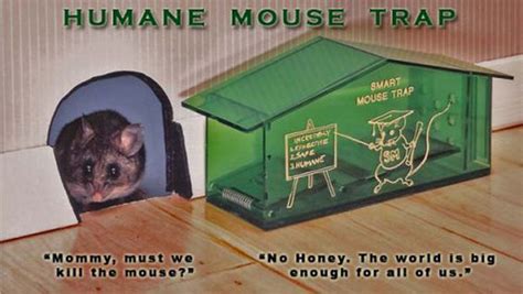 Try Using a Humane Mouse Trap | Vegan Souls