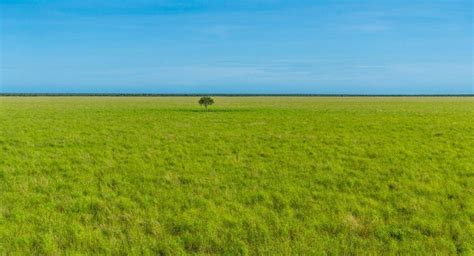 Outstanding Cattle Station For Sale Northern Territory