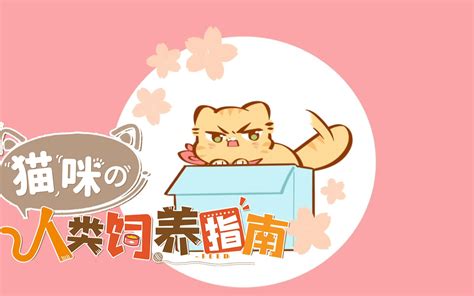 猫咪的人类饲养指南 动态漫第31集 国创 全集 高清正版在线观看 Bilibili 哔哩哔哩