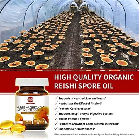 GANOHERB Reishi Mushroom Spore Oil USDA Organic Ganoderma Lucidum