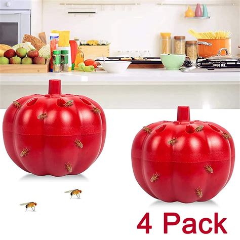 Djkdjl Gnat Traps Killer Indoor Reusable Fruit Fly Killer For Indoors Fly Catcher For Bugs