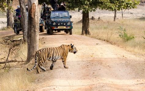 दुधवा नेशनल पार्क घूमने की पूरी जानकारी और खास बातें Dudhwa National Park Tourism In Hindi