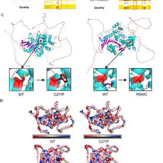 Schematic Representation Of CEL Protein And Bioinformatic Analysis Of