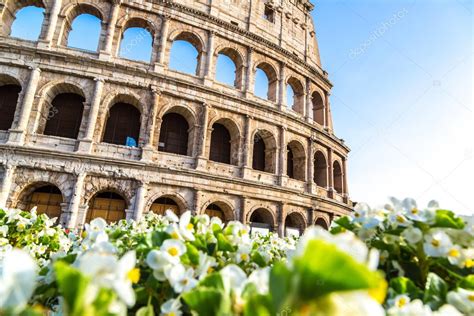 Colosseum And Flowers In Rome Stock Photo By Bloodua