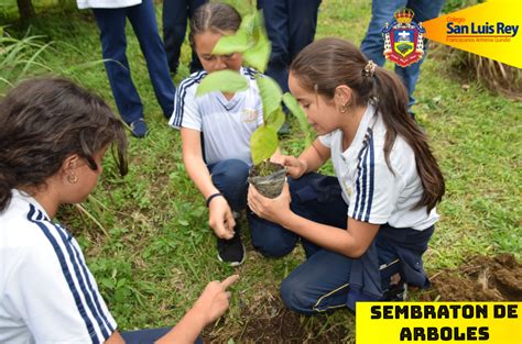 Sembrando nuevos árboles Colegio San Luis Rey